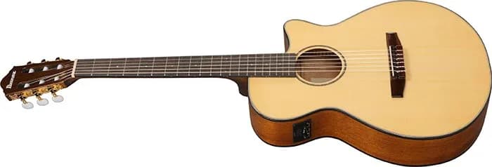 Ibanez AEG50N — photo 8