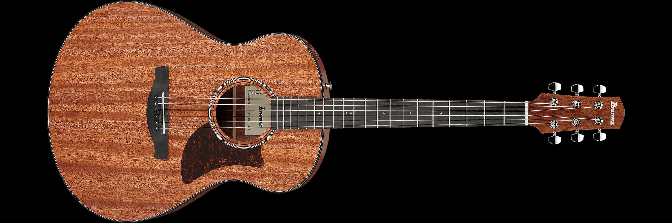 Ibanez AAM54