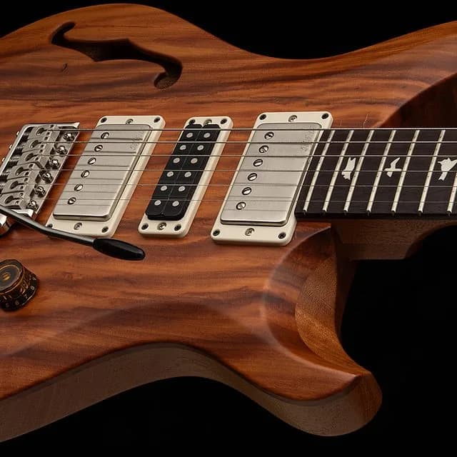 PRS S2 Special Semi-Hollow Reclaimed Limited Edition — photo 2