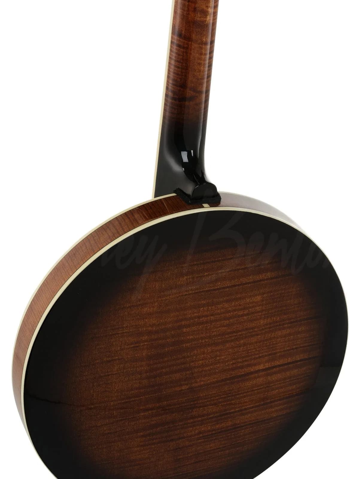 Harley Benton BJ-75Pro 5 String Banjo — photo 7