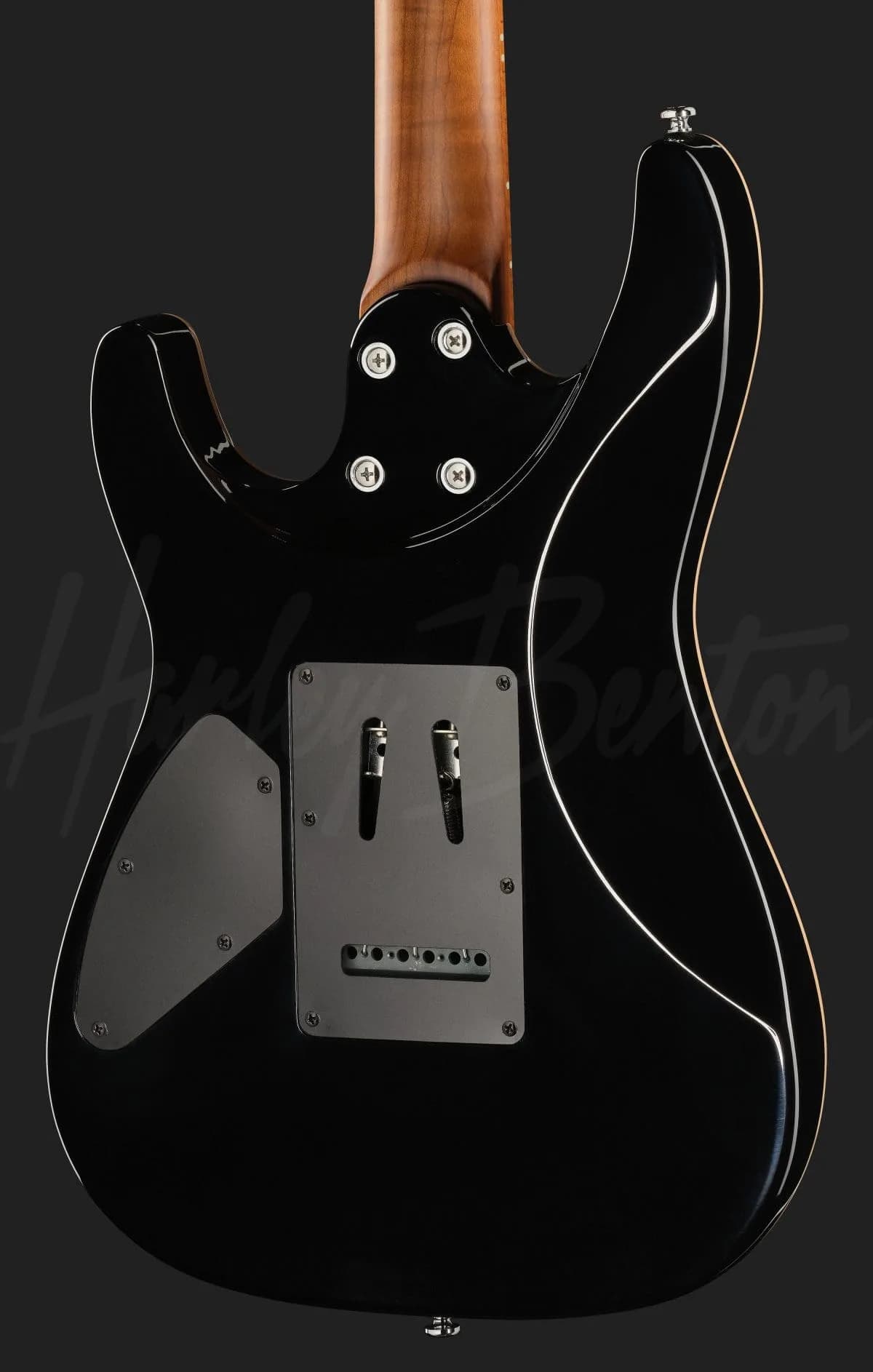 Harley Benton Fusion-IV HH MN QDG — photo 5