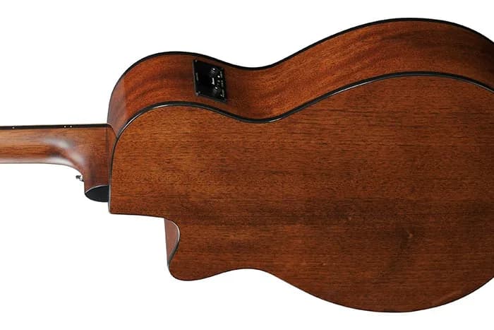Ibanez AEG50 — photo 8