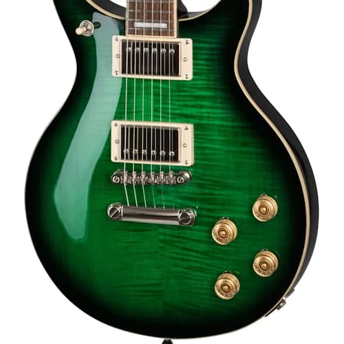 Epiphone DC Pro, Wild Ivy — photo 4