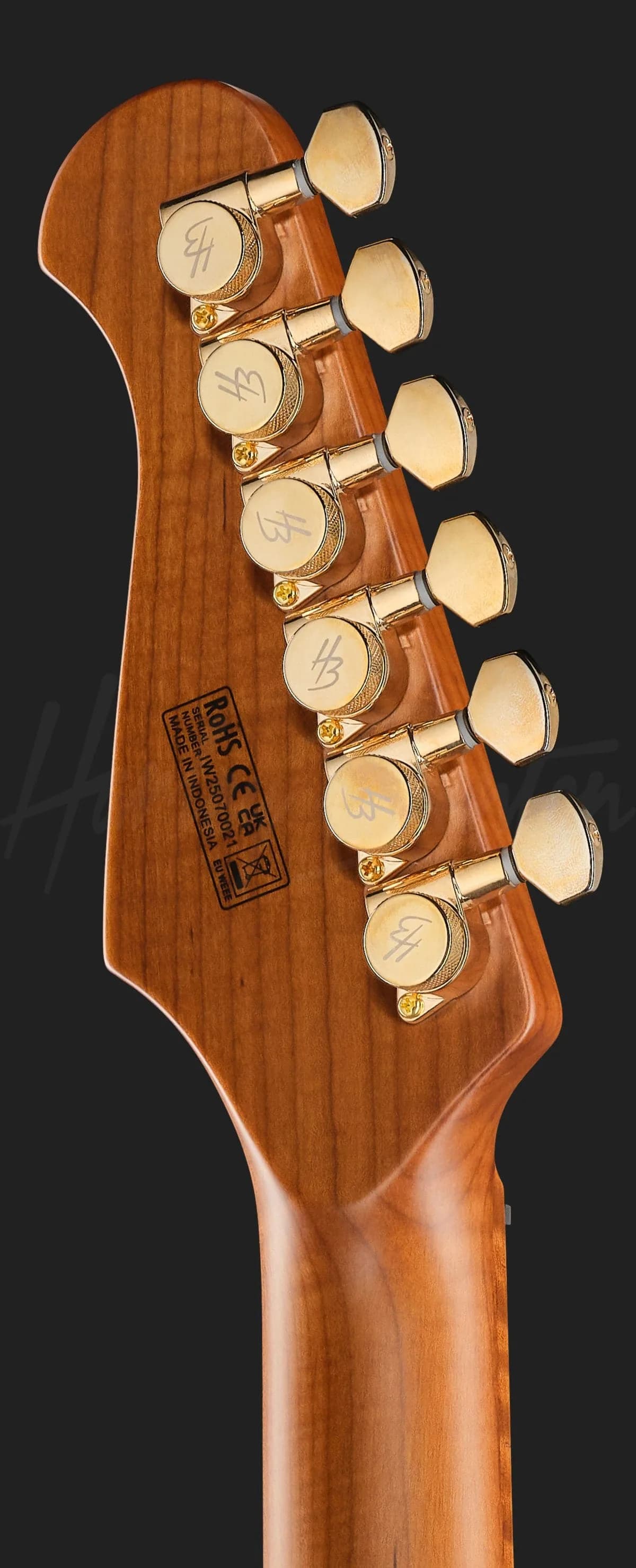 Harley Benton Fusion-IV HSH MN FBB — photo 7