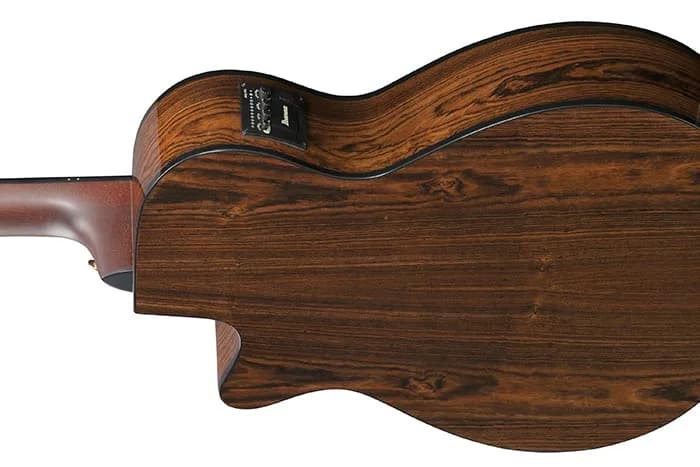 Ibanez AEG74N — photo 3