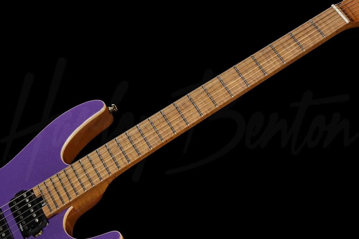 Harley Benton Fusion-IV HSH MN PM — photo 3