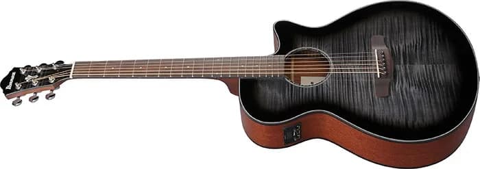 Ibanez AEG70 — photo 4