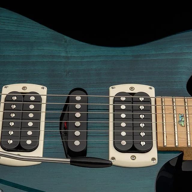PRS SE Swamp Ash Special — photo 4