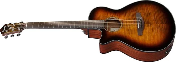 Ibanez AEG70L — photo 4