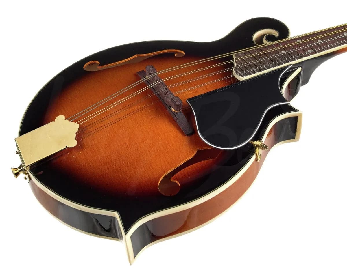 Harley Benton MA-100 VS — photo 5