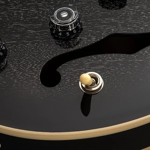 PRS SE Hollowbody Standard — photo 5