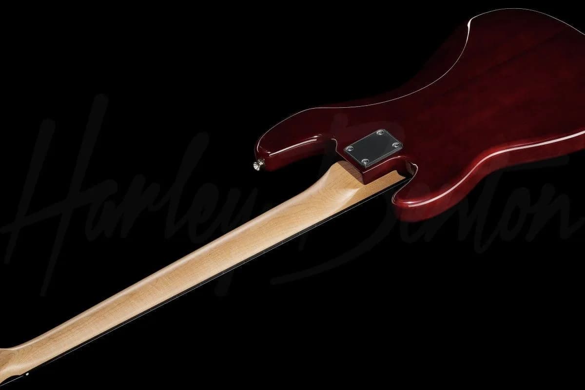Harley Benton PJ-5 HTR — photo 8