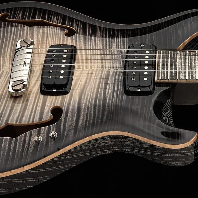 PRS Private Stock 30th Anniversary "Birds of a Feather" Hollowbody I — photo 2