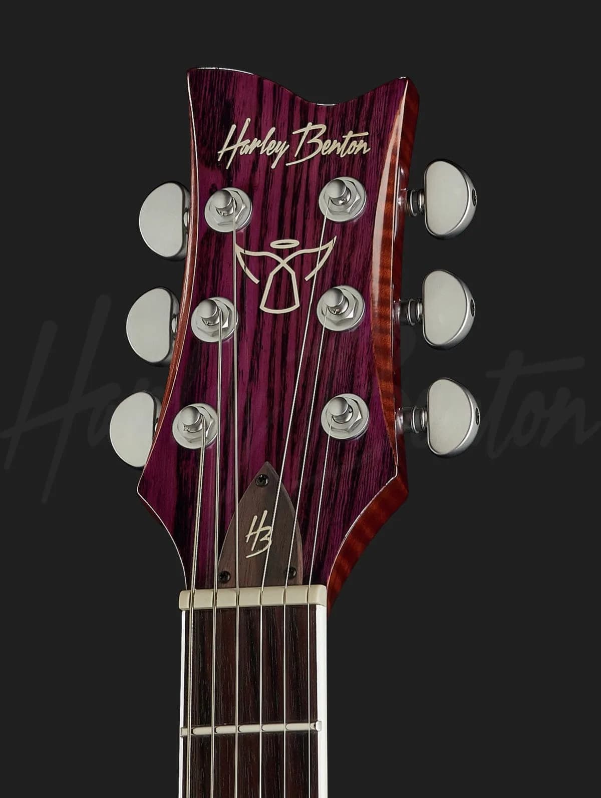Harley Benton Agufish LTD Signature — photo 6