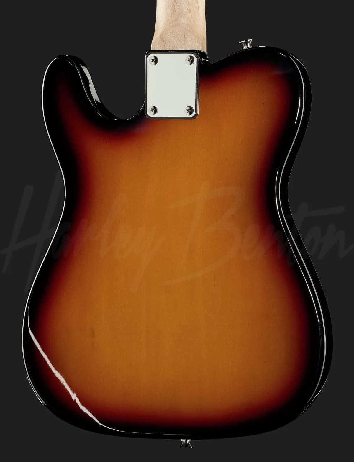 Harley Benton TE-20 SB — photo 5