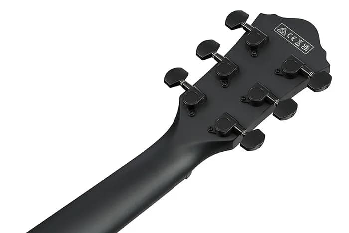 Ibanez AEWC621L — photo 2