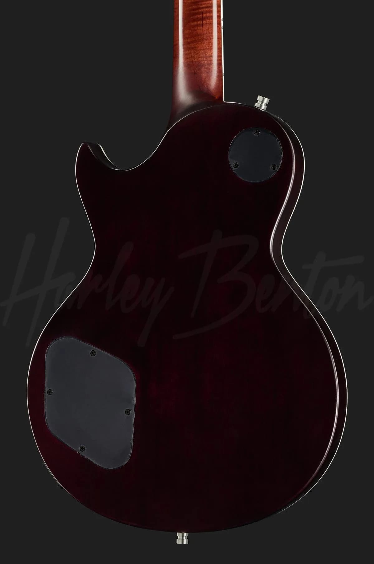 Harley Benton Agufish LTD Signature — photo 5