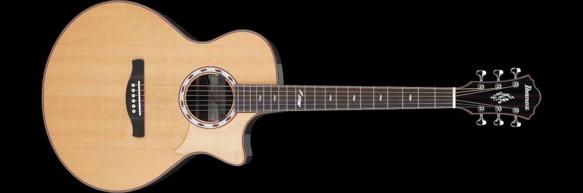 Ibanez MRC10