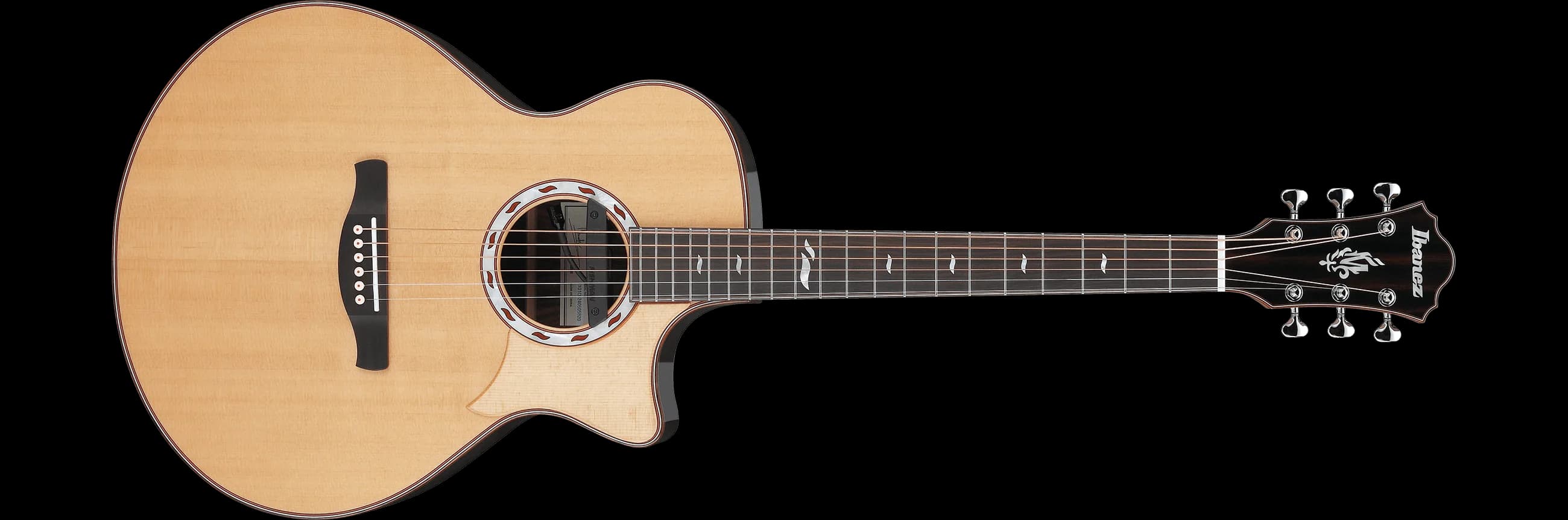 Ibanez MRC10