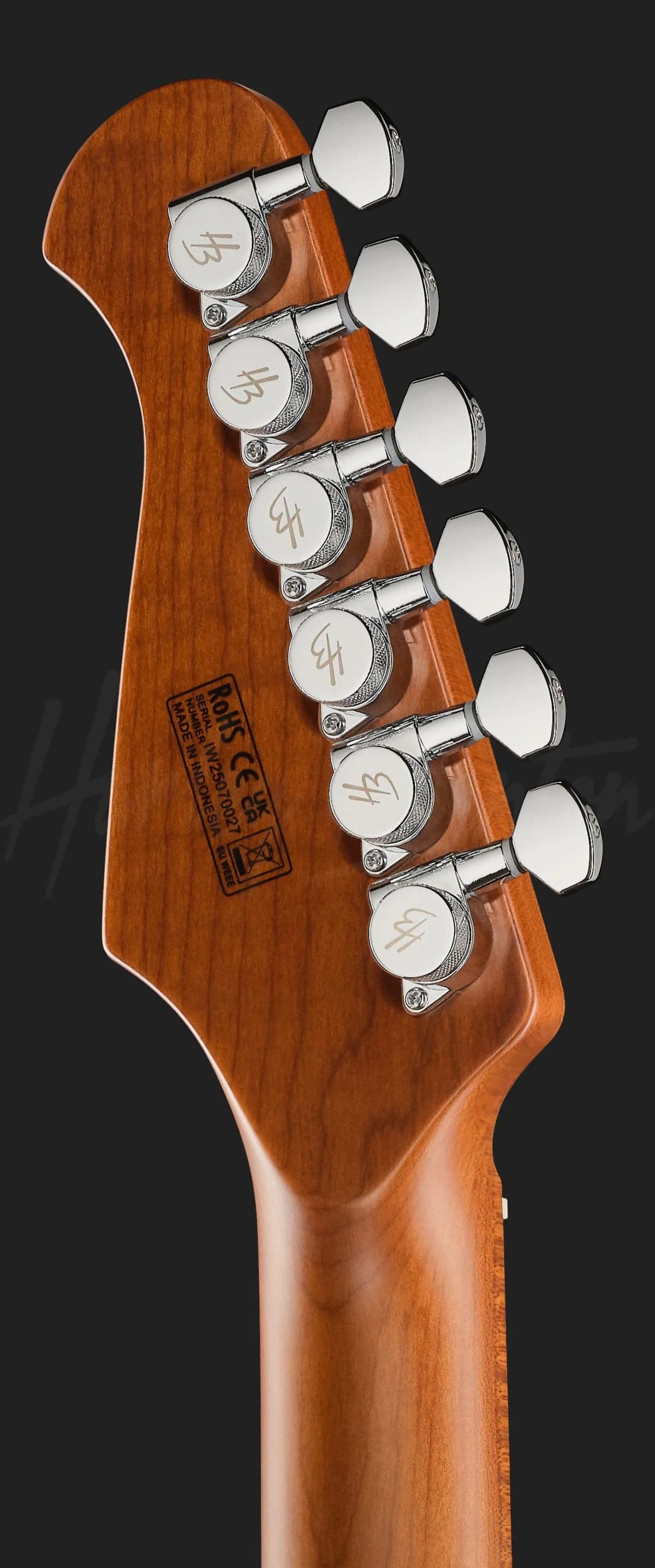 Harley Benton Fusion-IV HSS MN QBLB — photo 7