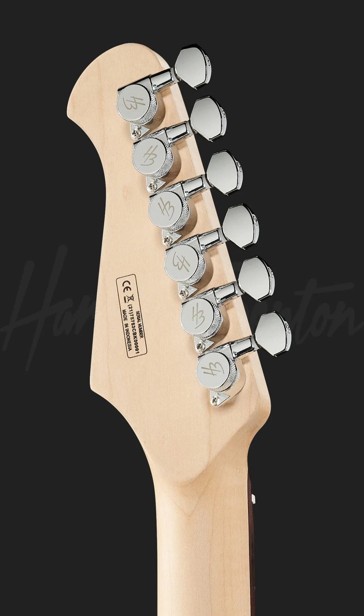 Harley Benton Fusion-III HSH EB FBLB — photo 7
