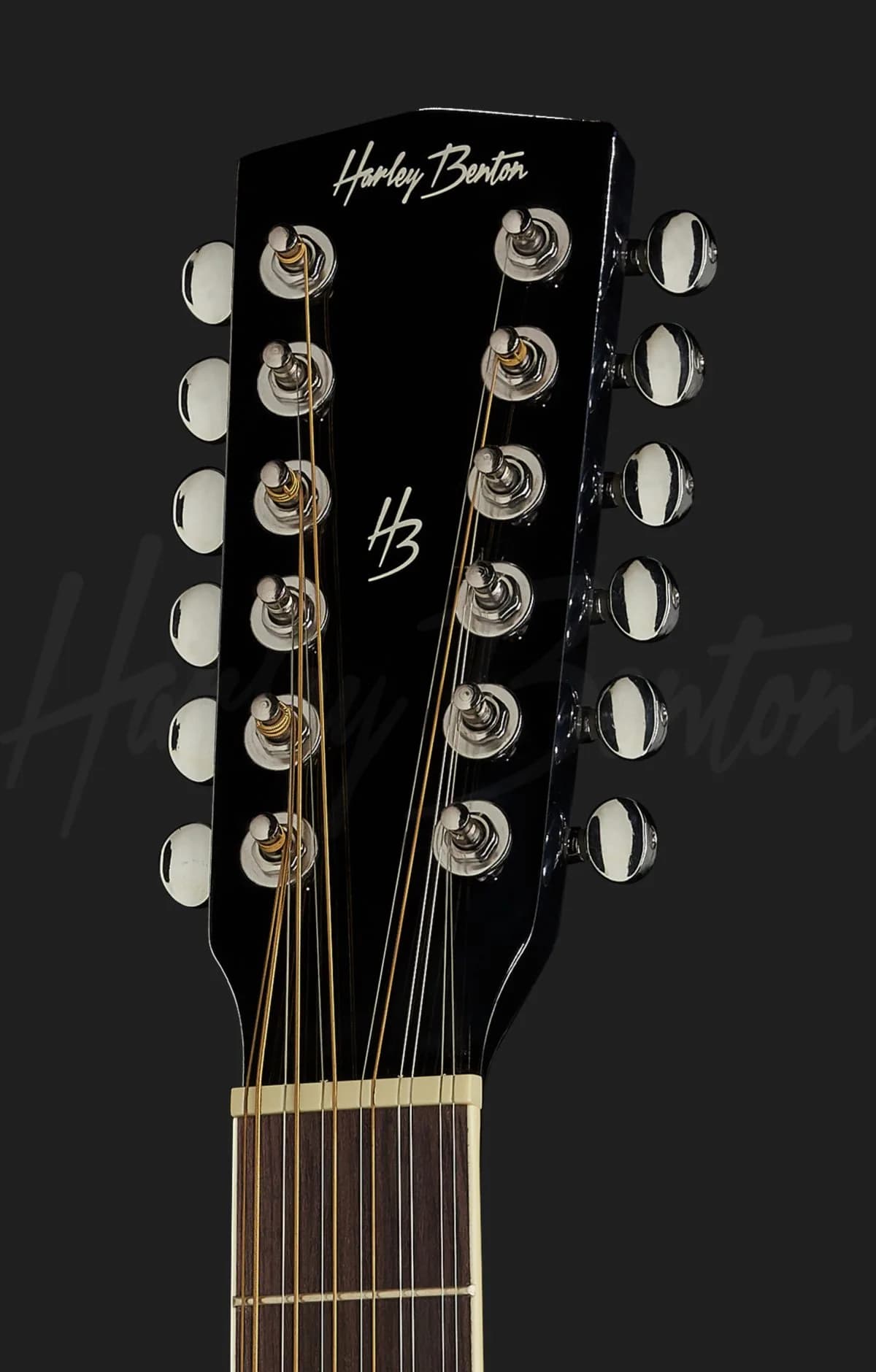 Harley Benton D-200CE-12 BK — photo 6