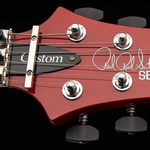 PRS SE Custom 24 "Floyd"