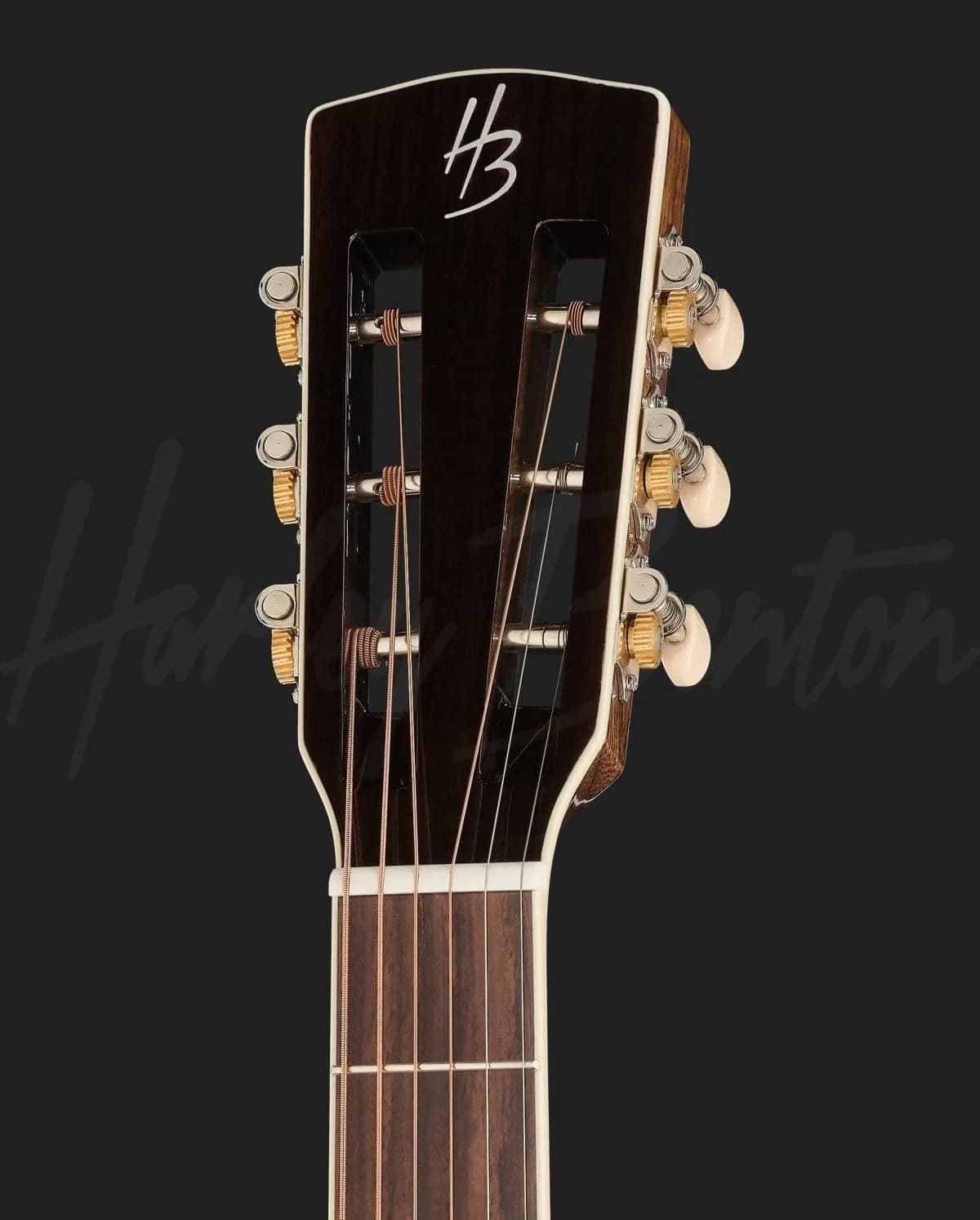 Harley Benton CLF-50E Anth Metallic — photo 6