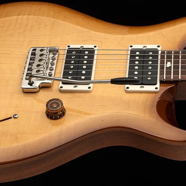 PRS S2 Custom 24 — photo 2