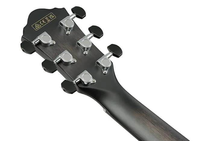 Ibanez AEWC400 — photo 3
