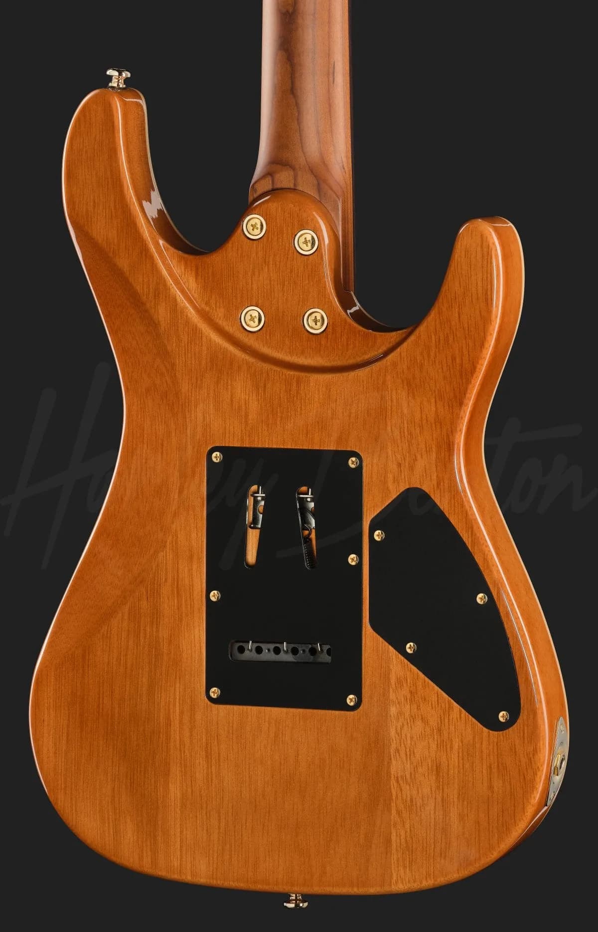Harley Benton Fusion-IV HSS LH RW PM — photo 5