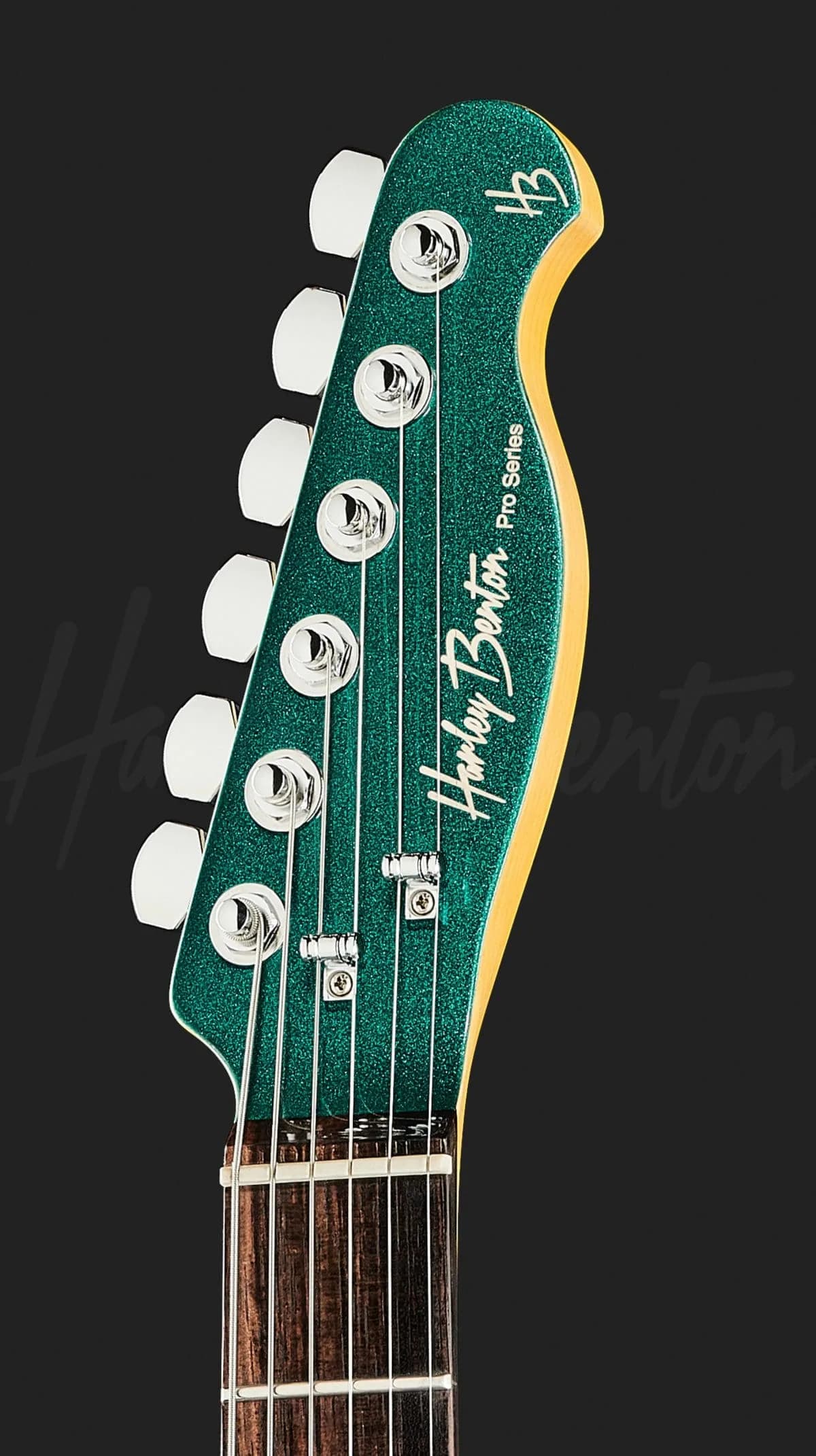 Harley Benton Fusion-T HH HT EB OCT — photo 6