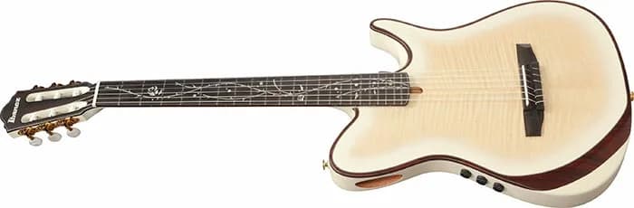 Ibanez TOD100FMN — photo 4