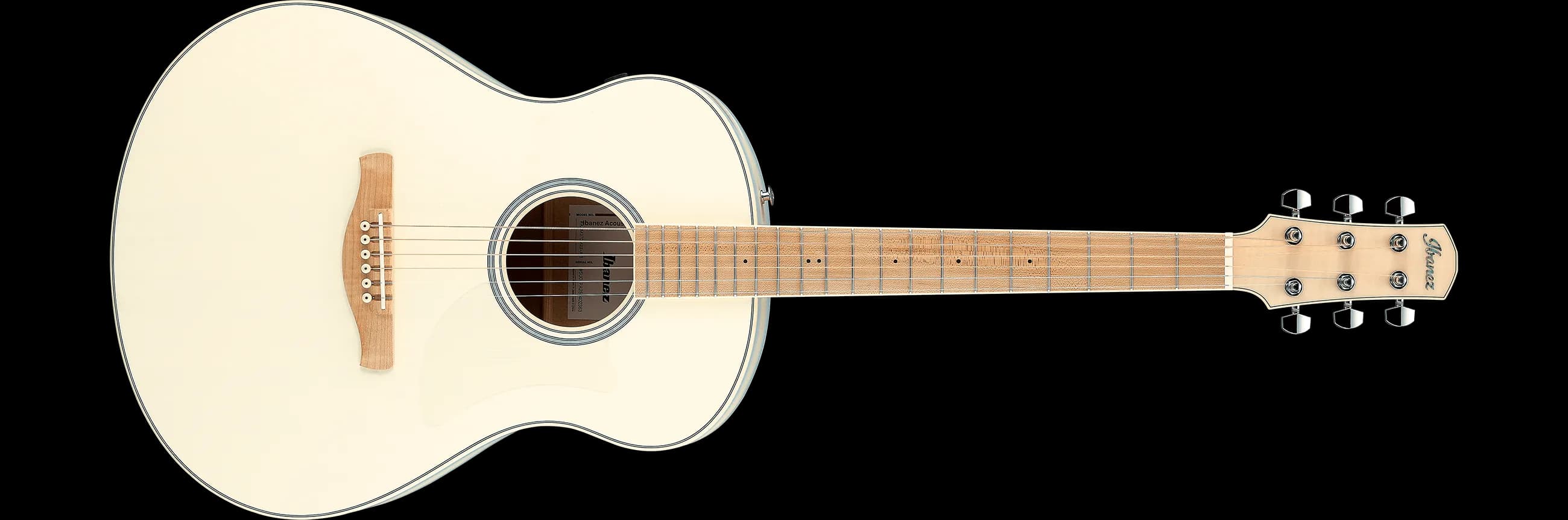 Ibanez AAM370M2E