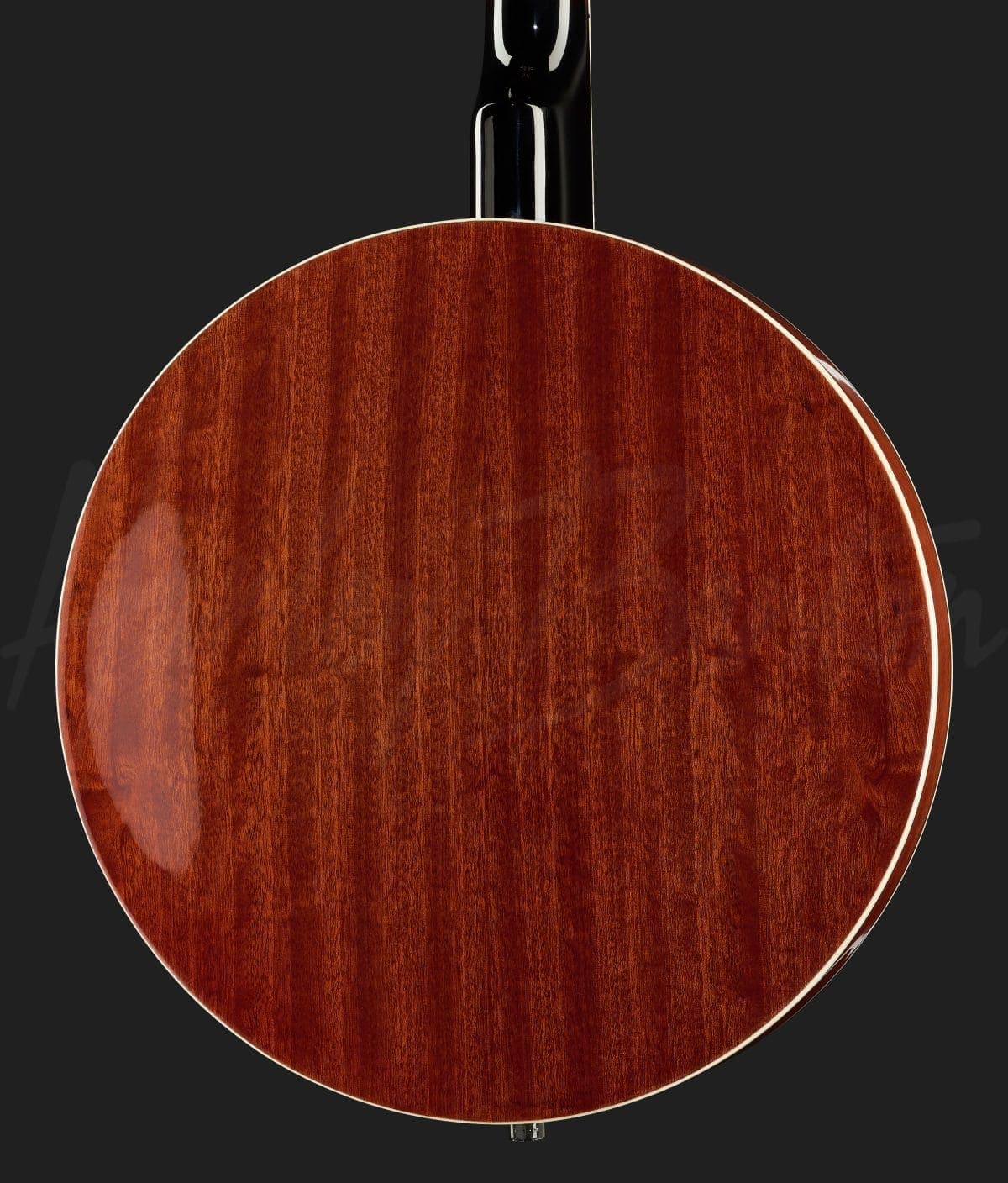 Harley Benton HBJ-24 Short Scale Tenor Banjo — photo 5