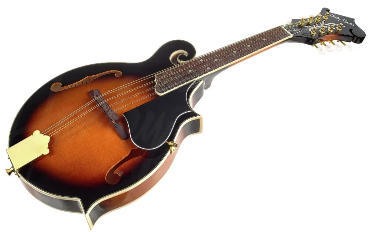 Harley Benton MA-100 VS — photo 4