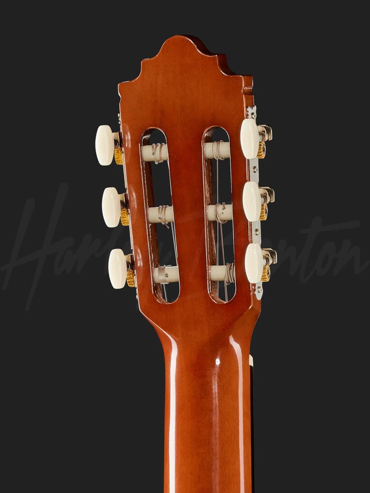 Harley Benton CG-300CE NT — photo 7