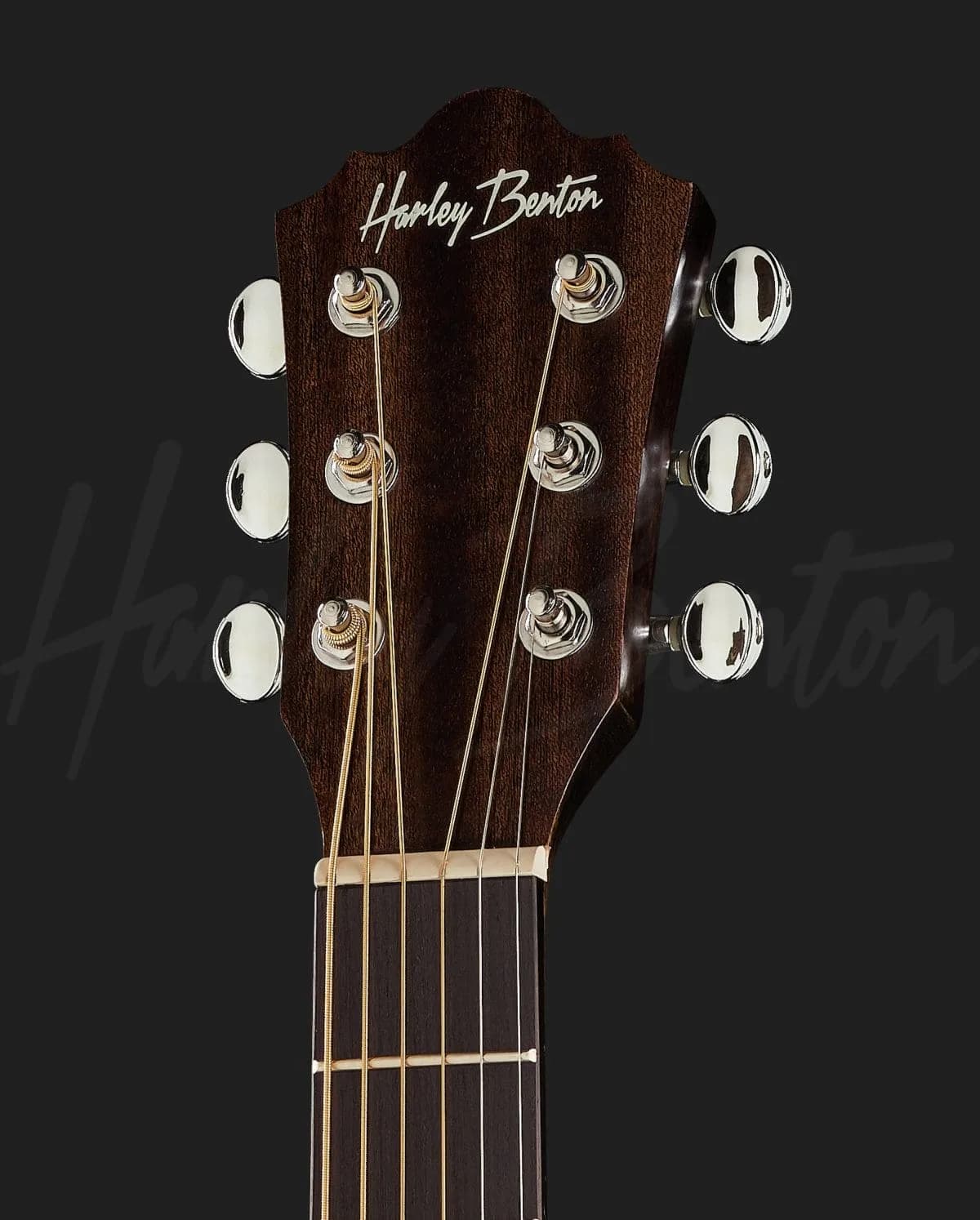 Harley Benton Delta Blues T — photo 6