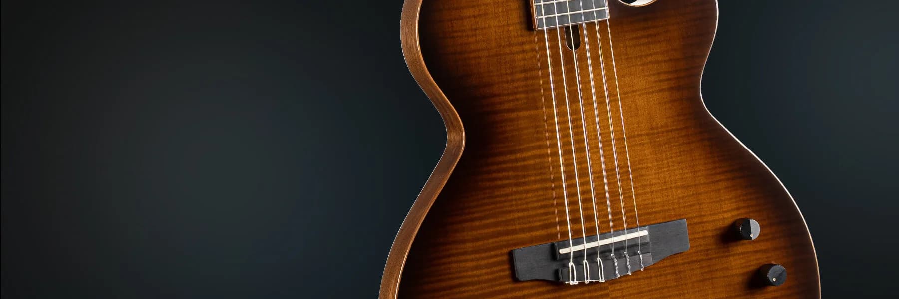 Cort Sunset Nylectric DLX