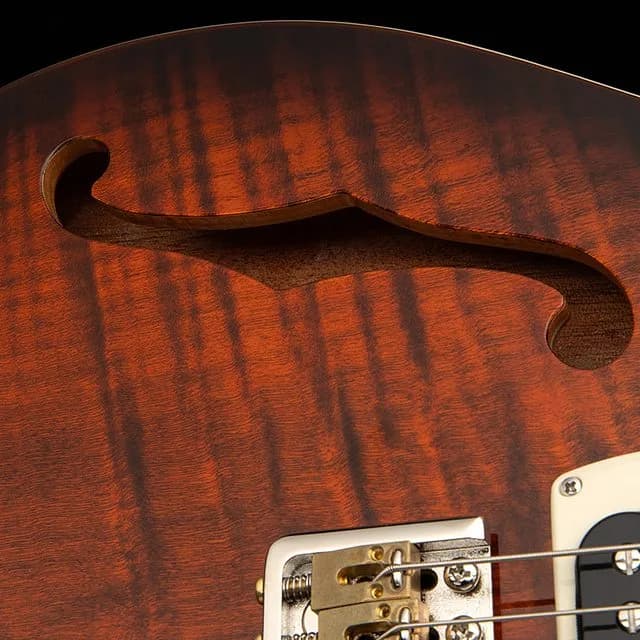 PRS SE Custom 24 Semi-Hollow Piezo — photo 5
