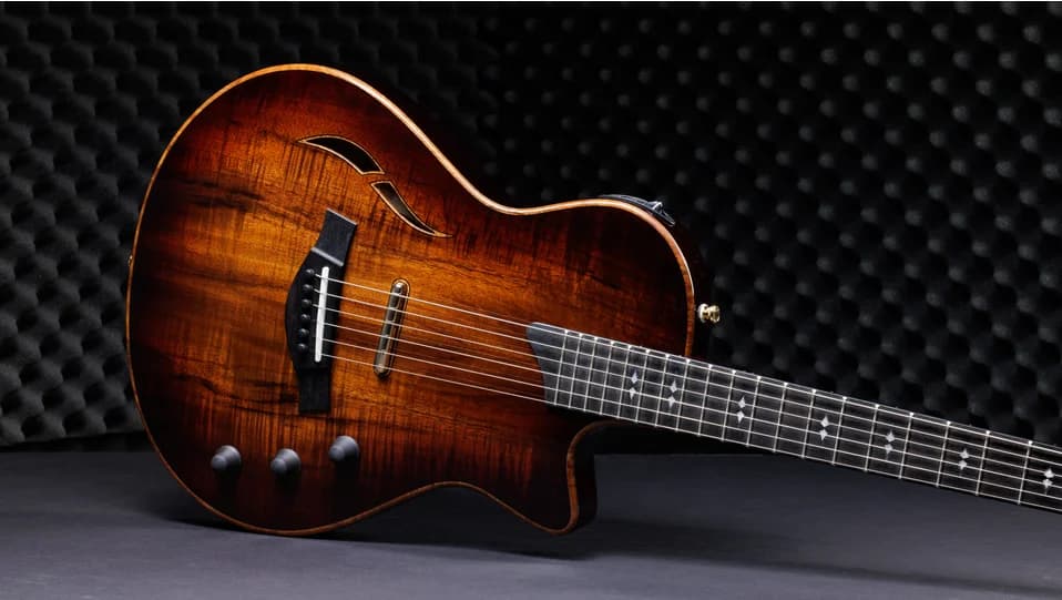 Taylor T5z Custom Koa — photo 4