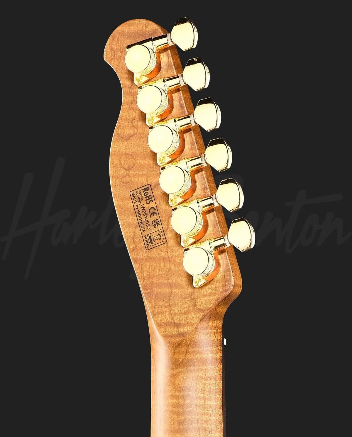 Harley Benton Fusion-T II HH RW SGD — photo 7
