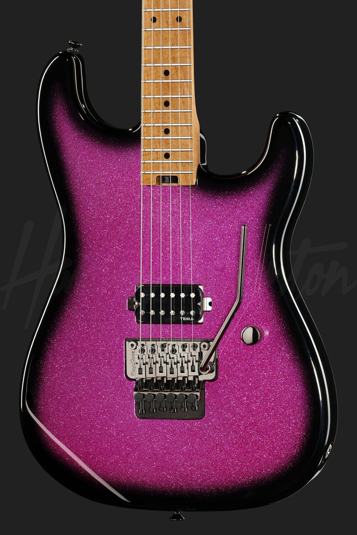 Harley Benton ST-80FR MN PSB — photo 4