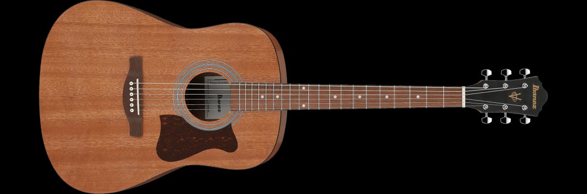 Ibanez V54NJP