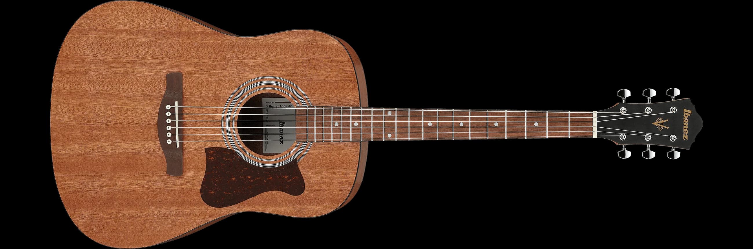 Ibanez V54NJP