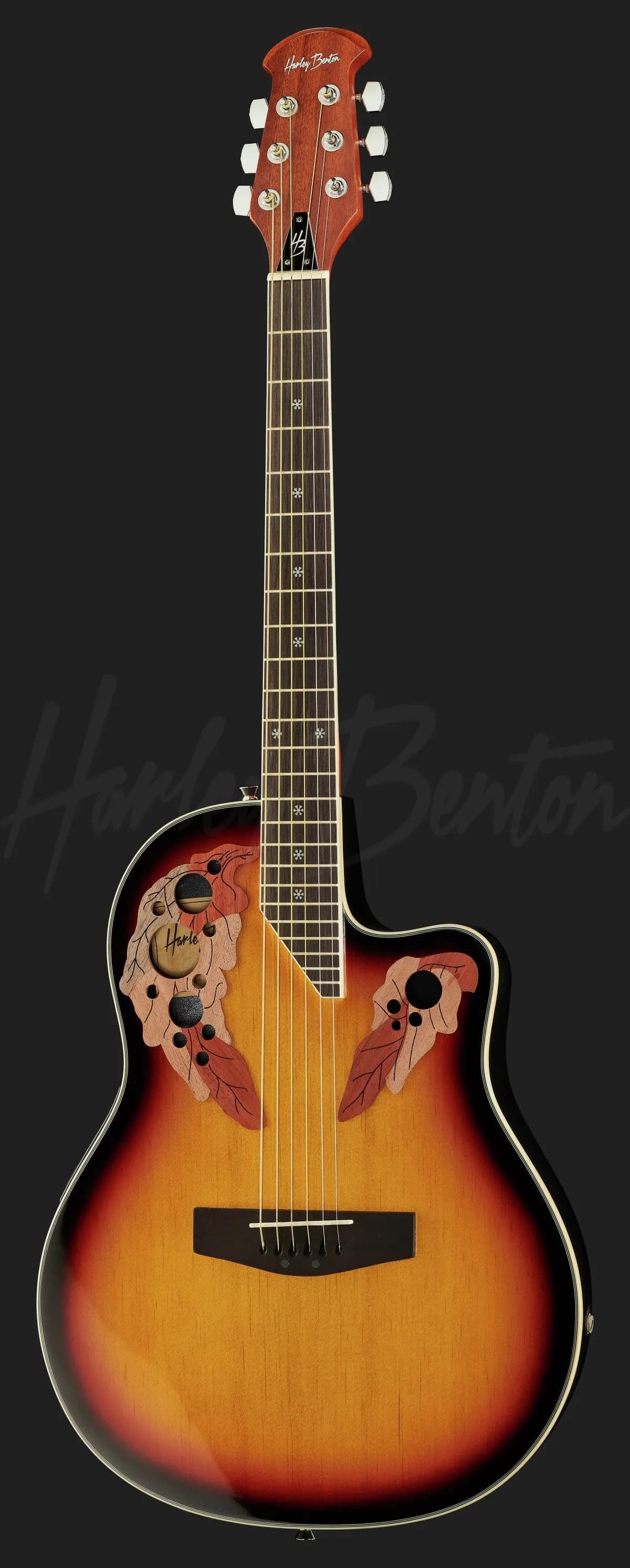 Harley Benton HBO-850 SB — photo 2