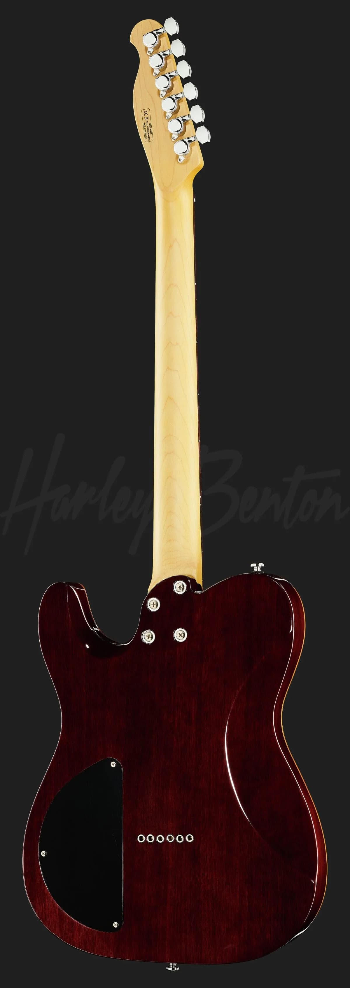 Harley Benton Fusion-T HH HT EB OCT — photo 3