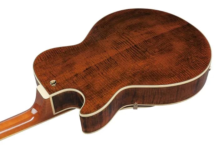 Ibanez AG95MG — photo 3