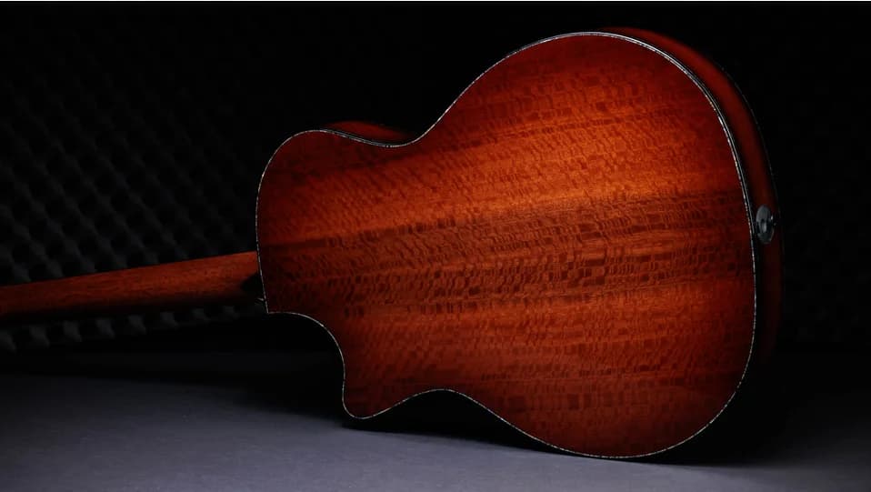 Taylor 50th Anniversary PS14ce LTD — photo 4