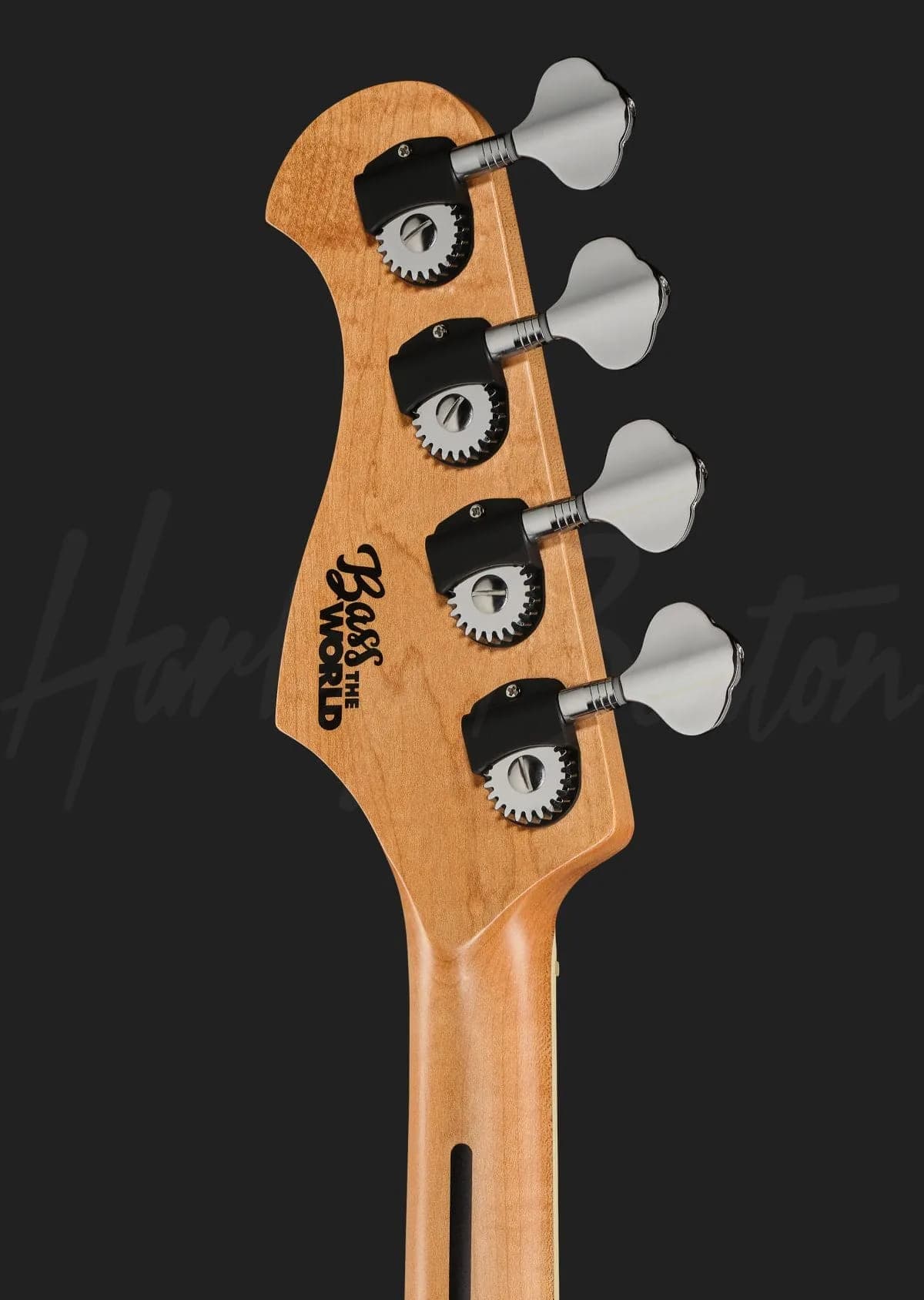 Harley Benton MV-4JB BassTheWorld — photo 7